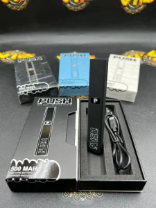 Push Disposable 2 Gram